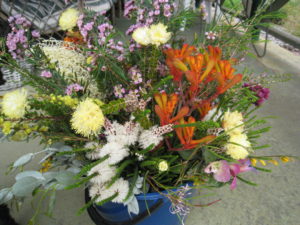 Our beautiful Western Australian wildflowers.